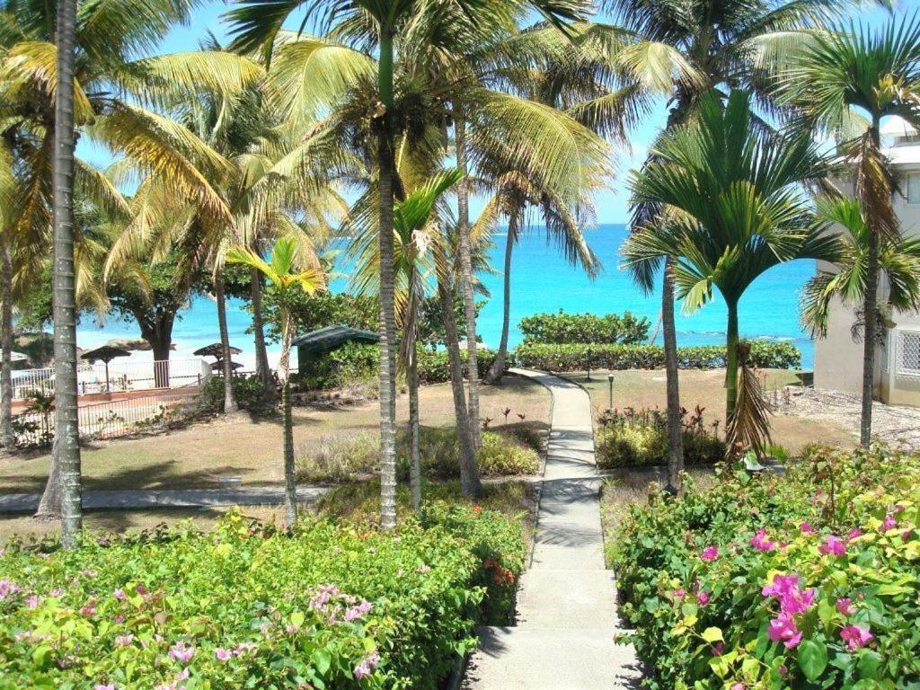 לה גוסייר Ilet Bleu Studio Cosy Rdc Vue Mer Et Jardin - Acces Direct Plage מראה חיצוני תמונה