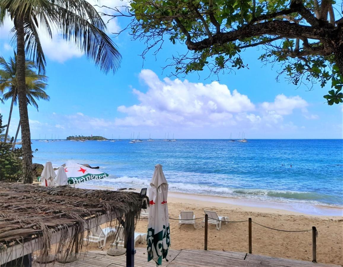 לה גוסייר Ilet Bleu Studio Cosy Rdc Vue Mer Et Jardin - Acces Direct Plage מראה חיצוני תמונה